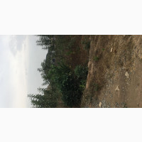 Standard Plot of Land for Sale at Ajila Elebu Ibadan
