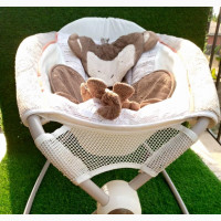 Fisher-Price Rock #039;N Play Baby Sleeper