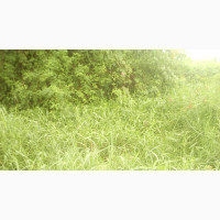 Developed Land for Sale in Abakaliki Ebonyi