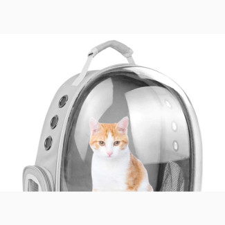 Large Transparent Pet Backpack