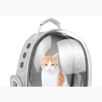 Large Transparent Pet Backpack