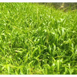 Farm Lands for Sale at Epe Close to Poka