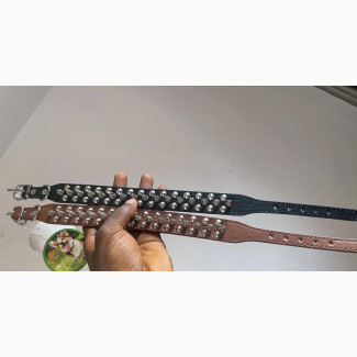 Studded/Bullet Dog Collar - Brand New