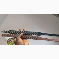Studded/Bullet Dog Collar - Brand New