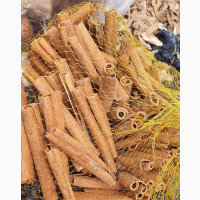 Cinnamon - Affordable and Top Quality