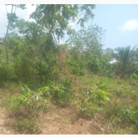Land for Lease at New Heaven