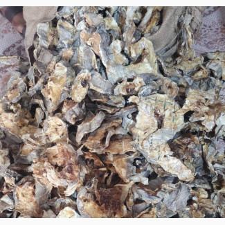 Stockfish Cutlets