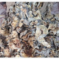Stockfish Cutlets