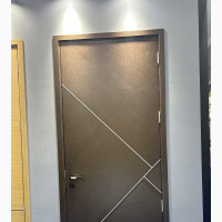 Modern and Durable Chromed HDF Door