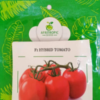 Premium Tomato Seeds