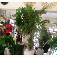 Artificial Flower for Sale - Home Interiors Brand