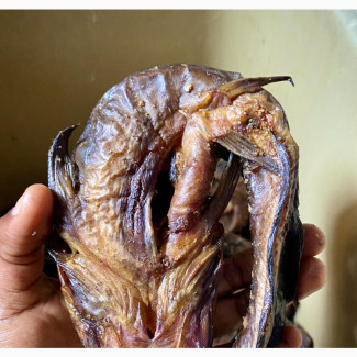 Fresh and Tasty Smoked Catfish Folds/Round Catfish (Spiced)