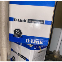 D-Link Cat6 Networking Cable