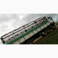 Affordable Transport Service to the North