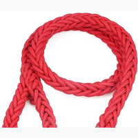 Pet Leash - Brand New Accessories Available
