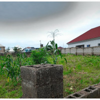 6.4 Hectares of Commercial Land for Sale with Cofo