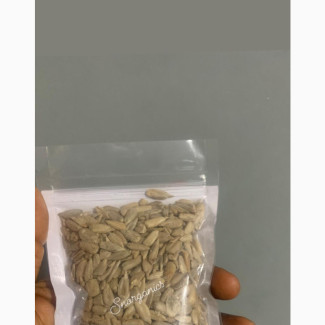 Sunflower Seed