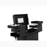 Trolly Make Up Box