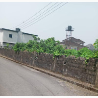 6 Plots of Land in PH