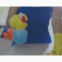House Cleaning Work