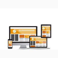 Professional Website Developer and Admin Expert