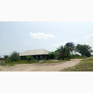 Afordable Dry and Fertile Land