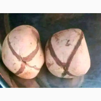The best powerful spiritual herbalist in Nigeria chief Ifatayese Awojobi+2349159450040