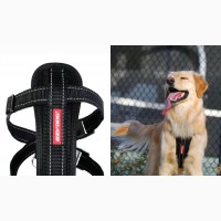 Ezydog BLACK LARGE Chest Plate Harness + Car Seat Restraint