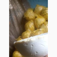 Organic Shea Butter for Sale - High Quality and Affordable