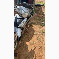 Qlink Legacy 250 2018 Gray
