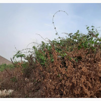 A Plot of Land for Sale in Kajola Estate Igbolomu Ikorodu