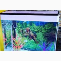 64litrs Imported Aquarium