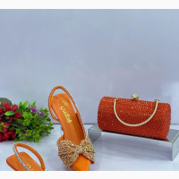 Women Matching Shoe and Purse
