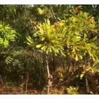 A Plot of Land at Trinity Estate Nwabia Land Umuobia Nkwelle