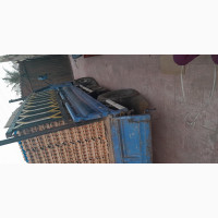 Farm Fresh Eggs - High Protein Chicken Eggs
