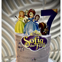 8inches Character Cake