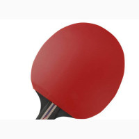 Stiga Pro Table Tennis Bat - Top Quality