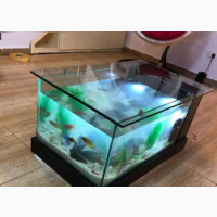 Aquarium Center Table 30*23*22