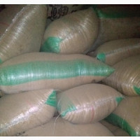 Soya Beans