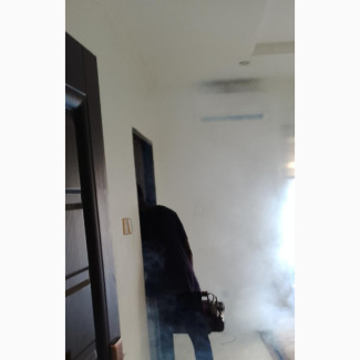 Expert Smoke Fumigation Services Available