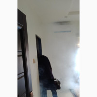 Expert Smoke Fumigation Services Available
