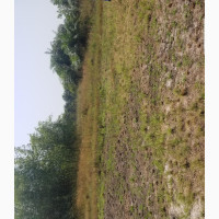 Standard Land For Sale With Survey And Deed Of Assignment