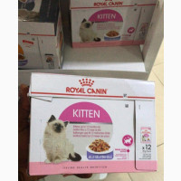 ROYAL CANIN Kitten Instinctive Gravy Pouch - Brand New