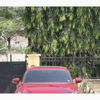 Lexus IS 2015 Red