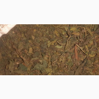 Stinging Nettle Leaf (500g)
