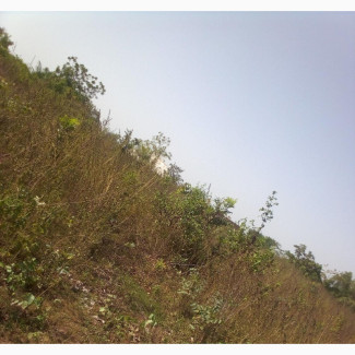 450 Sqm Residential Land at Asadam, Ilorin