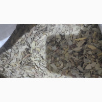 Senna Leaf (1kg)