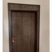 Contemporary Flush Doors