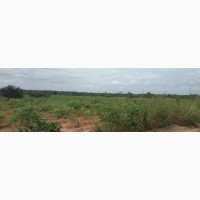 2000 Plots of Land for Sale at Mgbakwu Awka