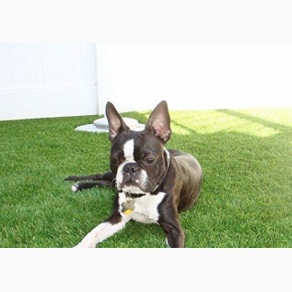 Artificial Turf Suitable For Pets